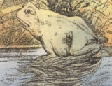 People are having trouble locating the horse hidden in this ordinary frog photograph.