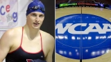 NCAA Bans Lia Thomas For Life From Competitive Swimming, “Should Try for Another Category”