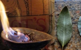 6 amazing benefits of burning bay leaves
