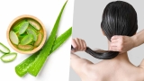 Aloe Vera: Myths vs. Facts – What is Real and What is Inconclusive