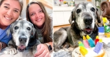 Best friends take in 19-year-old shelter dog and are making her last days magical