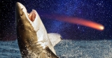 Incredible Coincidence – A Real Shooting Star was Caught on Film in “Jaws”