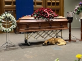 Dog curls up next to Gordon Lightfoot’s casket during memorial service: “Gordon loved dogs”